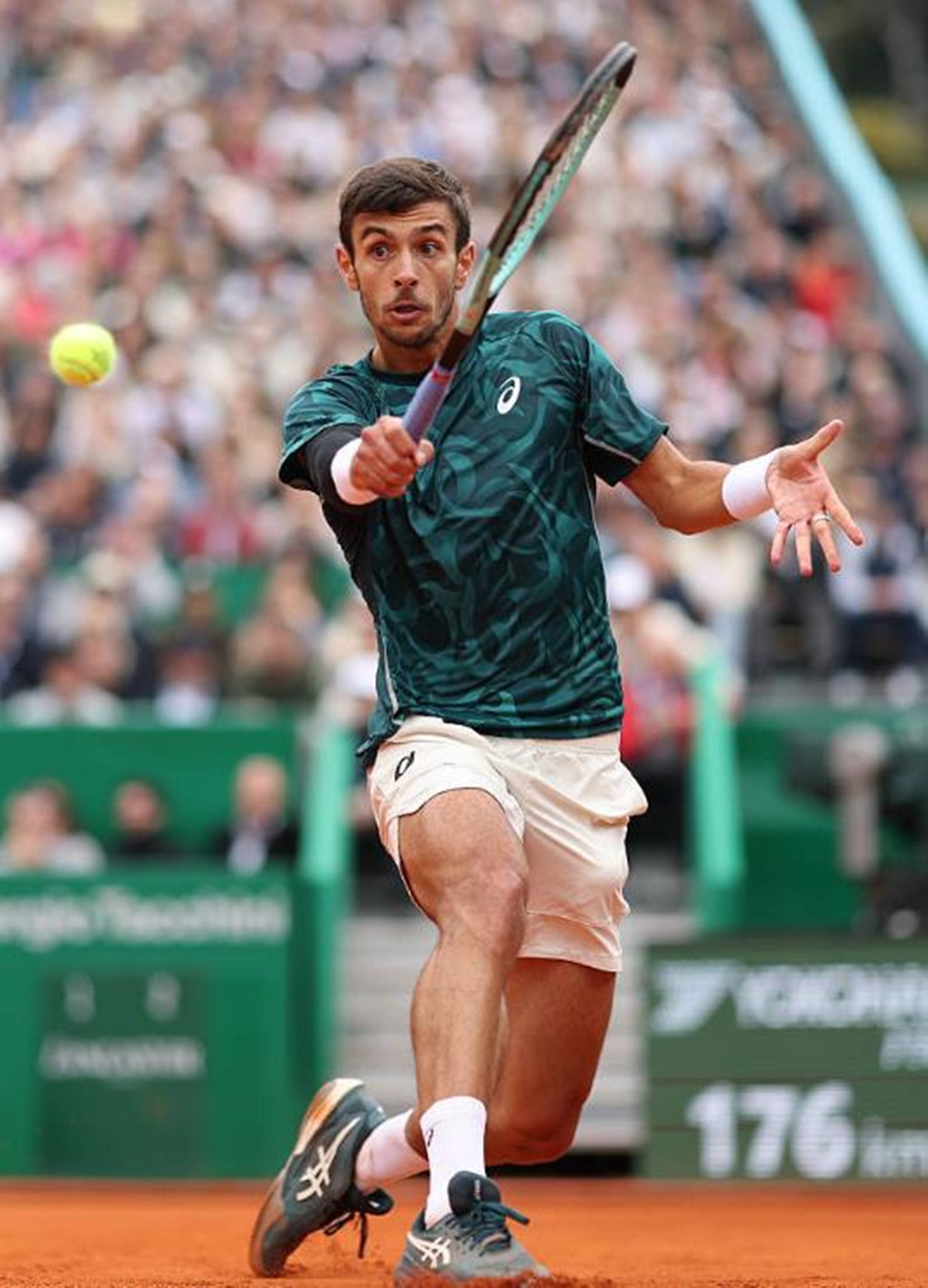 崭露头角 崭露头角